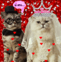 love married