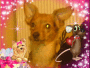 Moka