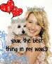 sharpay @ dog