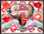 branka53