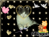 miaoooooooooo