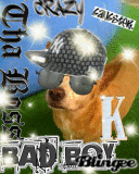 my bad boy!!!!!!!!!!!!!!!!!!!!!!!!