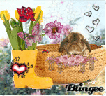 happy spring