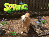 Atlantis in the Spring of things