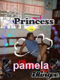 pam2027
