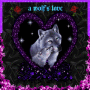 a wolf's love- purple