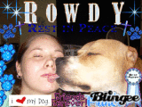 Rowdy 4-24-2004 to 4-23-2008 love you boy