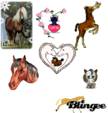 les chevaux