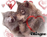 Wolf Love