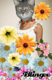 Bootsie Frame in flowers