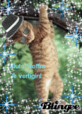 Gattino