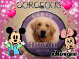 Awabi's new name tag
