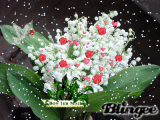 Muguet porte-bonheur