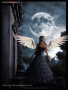 Moonlight Angel
