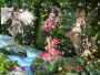 fantsy world