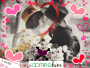 Love...