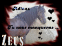 Hommage à Zeus