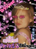 THE PERFECT SPOILED PRINCESS