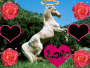 cheval