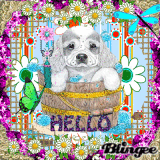 Hello Friends