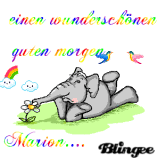 guten Morgen