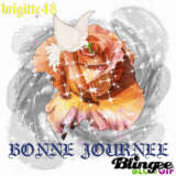 BONNE JOURNEE
