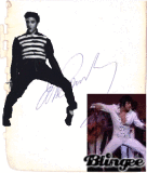 Elvis Presley (projekt)2
