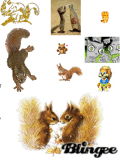 squirrels