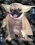****stars**** ****stars****
