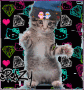 miaou je danse