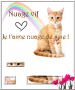 Nuage vif