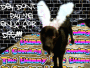 Mr. Flops da easter bunny