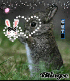 cute id say