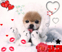 tro chou !!