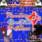 remembering our fallen heroes