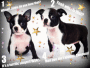 awesumpups