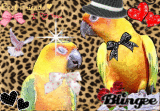 Parrots