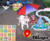 Summer Fun