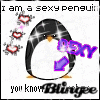 sexy pinguin