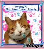Where is Tweety?