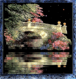 enchanted night