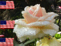 Memorial Day Memorial Day