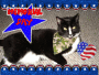 Memorial Day Tux 2