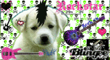 rockstar puppy