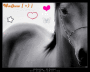 Cheval [ =) ]