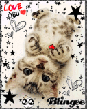 kitty