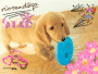 Nintendogs Dackel