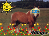 cheval
