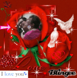 forever love forever love