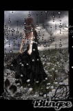 sweet rain